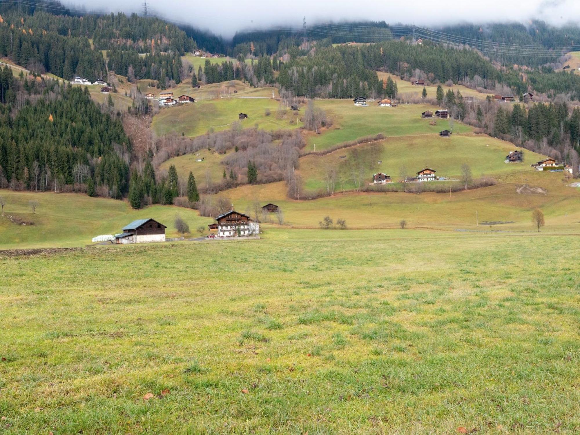 Lovely Apartment With Sauna Ski Storage Pool Terrace Wald im Pinzgau Eksteriør bilde